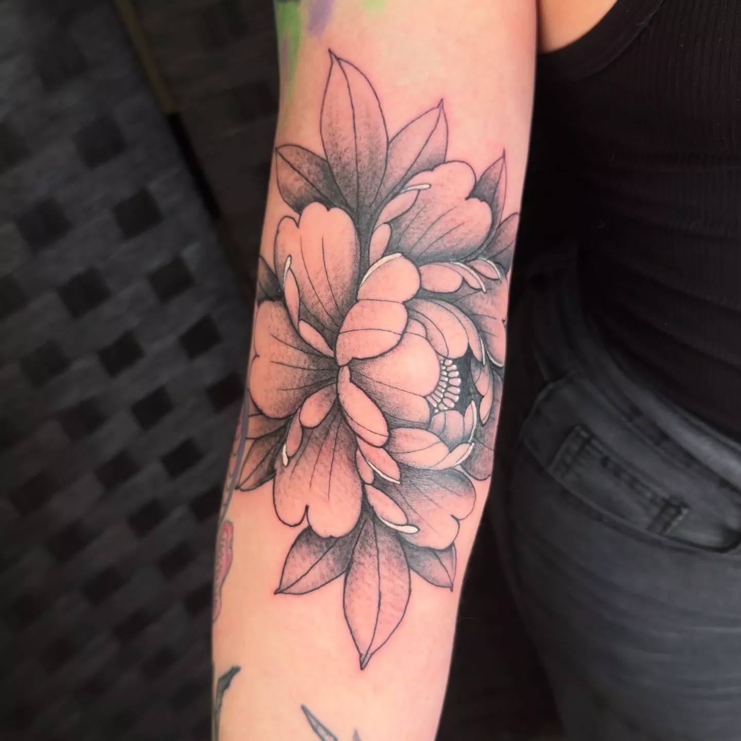 Traditional — Aristocratic Ink